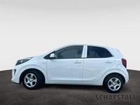 Gebraucht Kia Picanto Vision 67 PS (49 kW) 2024 Weiss ((ud) schneeweiss) Kleinwagen