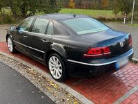 gebraucht VW Phaeton 4M 245PS Standheizung Service seltene Innenkombi