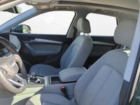 Gebraucht Audi Q5 Basis 204 PS (150 kW) 2021 Distriktgrün metallic SUV