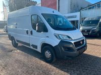 Gebraucht Fiat 130 131 PS (96 kW) 2015 Weiß Van / Kleinbus