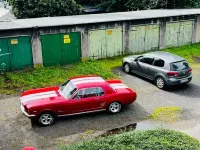 Gebraucht Ford Mustang 203 PS (149 kW) 1966 Rot Coupé