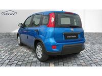 Gebraucht Fiat Panda 71 PS (52 kW) 2024 Kleinwagen