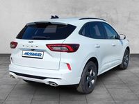 Neu Ford Kuga ST-Line 186 PS (136 kW) 2026 Weiß SUV