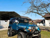 Gebraucht Jeep Wrangler 180 PS (132 kW) 1993 Blau SUV