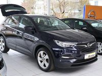 Gebraucht Opel Grandland X 131 PS (96 kW) 2019 Blau SUV