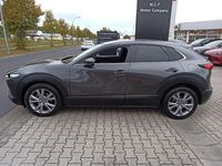 Gebraucht Mazda CX-30 Selection 122 PS (89 kW) 2021 Grau SUV