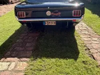 Gebraucht Ford Mustang 200 PS (147 kW) 1966 Schwarz