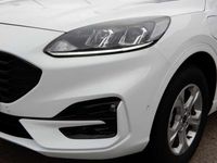 gebraucht Ford Kuga Plug-In Hybrid ST-Line FAHRERASSISTENZ/WINTER-PAKET