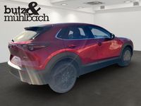 Neu Mazda CX-30 140 PS (102 kW) 2025 Rot SUV