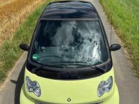 Gebraucht Smart ForTwo Coupé 41 PS (30 kW) 2003 Grün Coupé