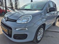 Gebraucht Fiat Panda Easy 69 PS (50 kW) 2019 Colore esterno Kleinwagen