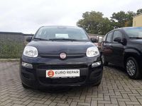 Neu Fiat Panda 69 PS (50 kW) 2025 Schwarz Kleinwagen