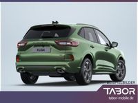 Neu Ford Kuga ST-Line 182 PS (133 kW) 2025 Grün (bursting green metallic) SUV
