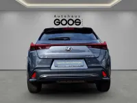 Gebraucht Lexus UX 250h 184 PS (135 kW) 2024 Grau SUV