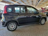 Gebraucht Fiat Panda 71 PS (52 kW) 2024 Schwarz Kleinwagen