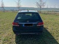 Gebraucht Mercedes E220 Avantgarde 170 PS (125 kW) 2015 Schwarz Kombi