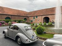 Gebraucht VW Käfer 34 PS (25 kW) 1951 Grau Limousine