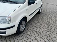 Gebraucht Fiat Panda 45 PS (33 kW) 2009 Weiß Kleinwagen