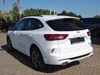 Neu Ford Kuga ST-Line 242 PS (177 kW) 2025 Weiß SUV