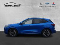 Gebraucht Ford Kuga ST-Line X 179 PS (131 kW) 2024 Dynamicblau metallic SUV