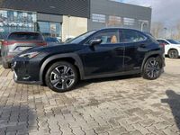 gebraucht Lexus UX 250h Luxury Line ACC FLA HUD 360 SpurW Leder