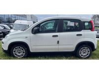 gebraucht Fiat Panda Mild Hybrid 1.0 GSE MY22 Start/Stop Klima