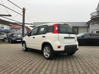 Gebraucht Fiat Panda 69 PS (50 kW) 2024 Gelato weiß Kleinwagen