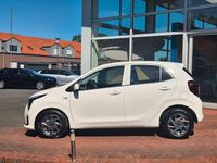 Neu Kia Picanto Vision 63 PS (46 kW) 2025 Schneeweiß Kleinwagen