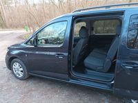 gebraucht VW Caddy Maxi 2,0TDI 90kW DSG SCR California