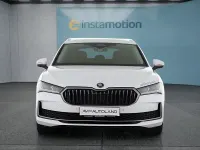 Gebraucht Skoda Superb 150 PS (110 kW) 2024 Weiß Kombi