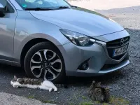 Gebraucht Mazda 2 90 PS (66 kW) 2015 Silber Kleinwagen