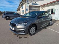 Neu Skoda Fabia Selection 95 PS (69 kW) 2026 Grau Kleinwagen