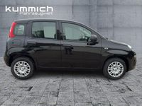 Neu Fiat Panda Icon 69 PS (50 kW) 2026 Schwarz Kleinwagen