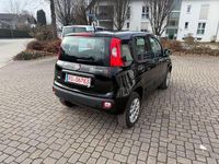 Gebraucht Fiat Panda Lounge 86 PS (63 kW) 2020 Schwarz Limousine