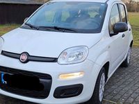 Gebraucht Fiat Panda Easy 69 PS (50 kW) 2018 Weiß Kleinwagen