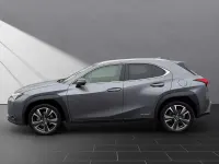 Gebraucht Lexus UX 250h 184 PS (135 kW) 2021 Grau SUV
