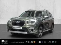 Usado Subaru Forester Platinum 150 CV (110 kW) 2020 Verde SUV