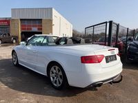 Gebraucht Audi A5 Cabriolet S-Line 177 PS (130 kW) 2013 Weiß Cabrio