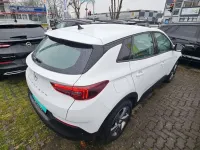 Gebraucht Opel Grandland X Basis 181 PS (133 kW) 2022 Jade weiss/arktis weiss SUV