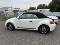 Usata VW Beetle 105 CV (77 kW) 2015 Bianco Utilitaria