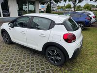 Gebraucht Citroën C3 PureTech 83 PS (61 kW) 2024 Weiß Kleinwagen