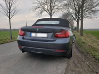 gebraucht BMW 220 i Cabrio Advantage Leder Sitzhzg Klima Navi