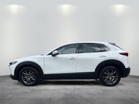 Gebraucht Mazda CX-30 Selection 150 PS (110 kW) 2021 Arctic white SUV