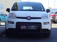 Occasion Fiat Panda 69 ch (50 kW) 2022 Blanc Citadine
