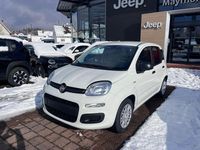 Neu Fiat Panda 65 PS (47 kW) 2026 Weiß Kleinwagen