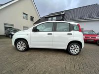 gebraucht Fiat Panda Pop / TÜV / Niedrige km/h