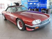 Gebraucht Jaguar XJS 295 PS (216 kW) 1984 Rot Cabrio