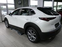 Gebraucht Mazda CX-30 140 PS (102 kW) 2025 Weiß SUV