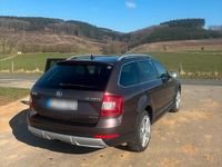 Gebraucht Skoda Octavia Scout 186 PS (136 kW) 2016 Kombi