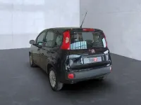 Gebraucht Fiat Panda Easy 69 PS (50 kW) 2019 Cinema schwarz (metallic) Kleinwagen
